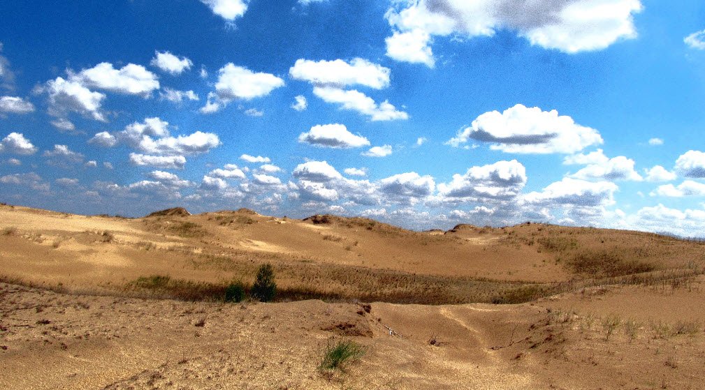Oleshky Sands, Kherson Oblast, Ukraine